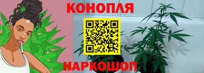 мдпв Славгород