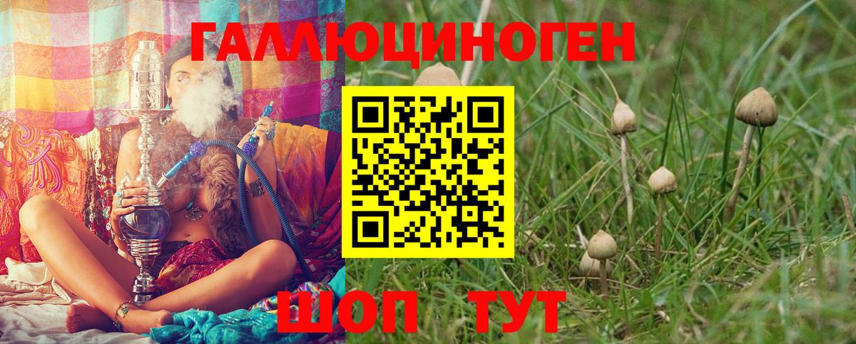 Псилоцибиновые грибы Psilocybe Белогорск